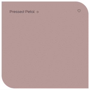 What Colours Go With Dulux Pressed Petal? - Sleek-chic Interiors