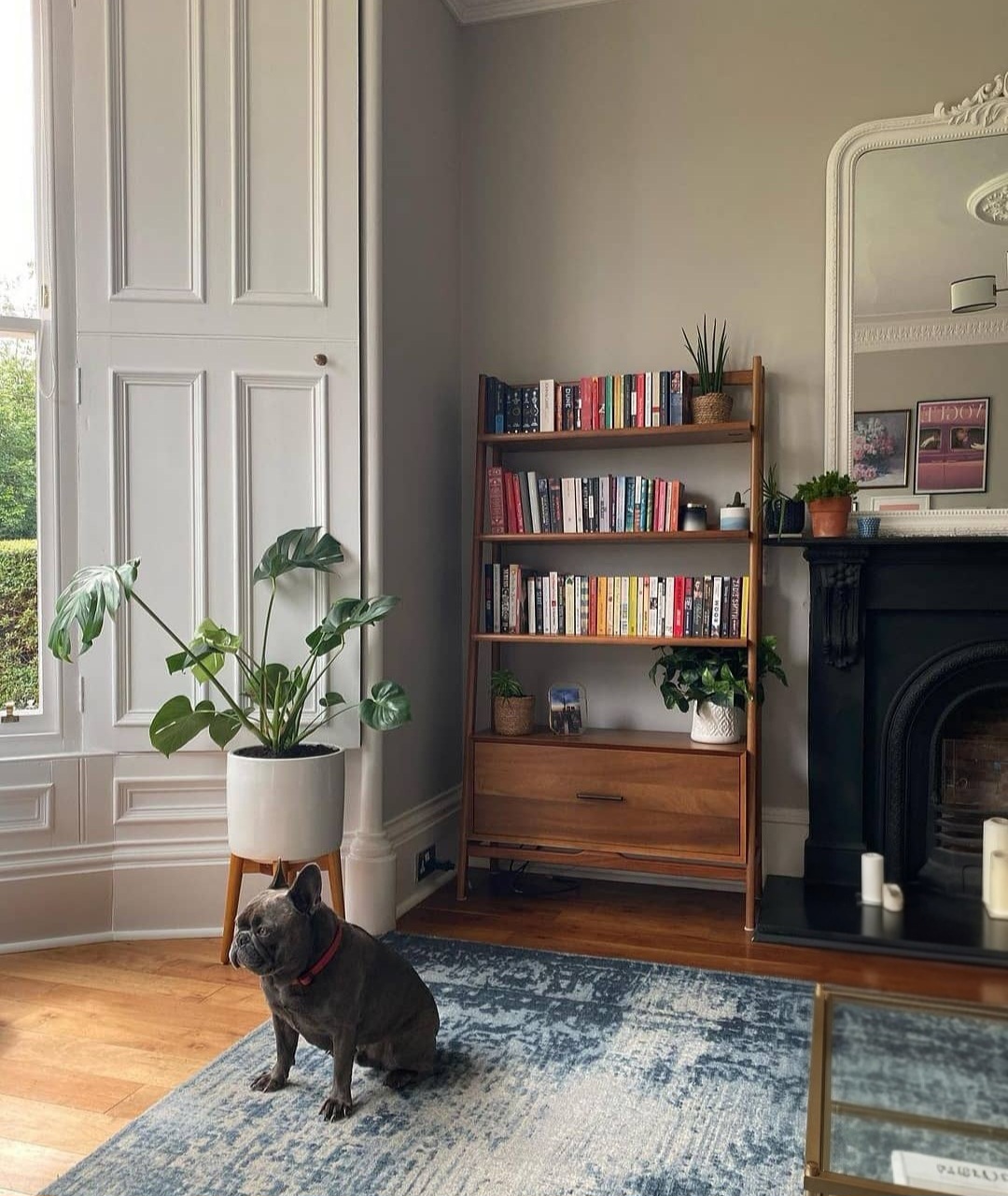 Living room shelving 4