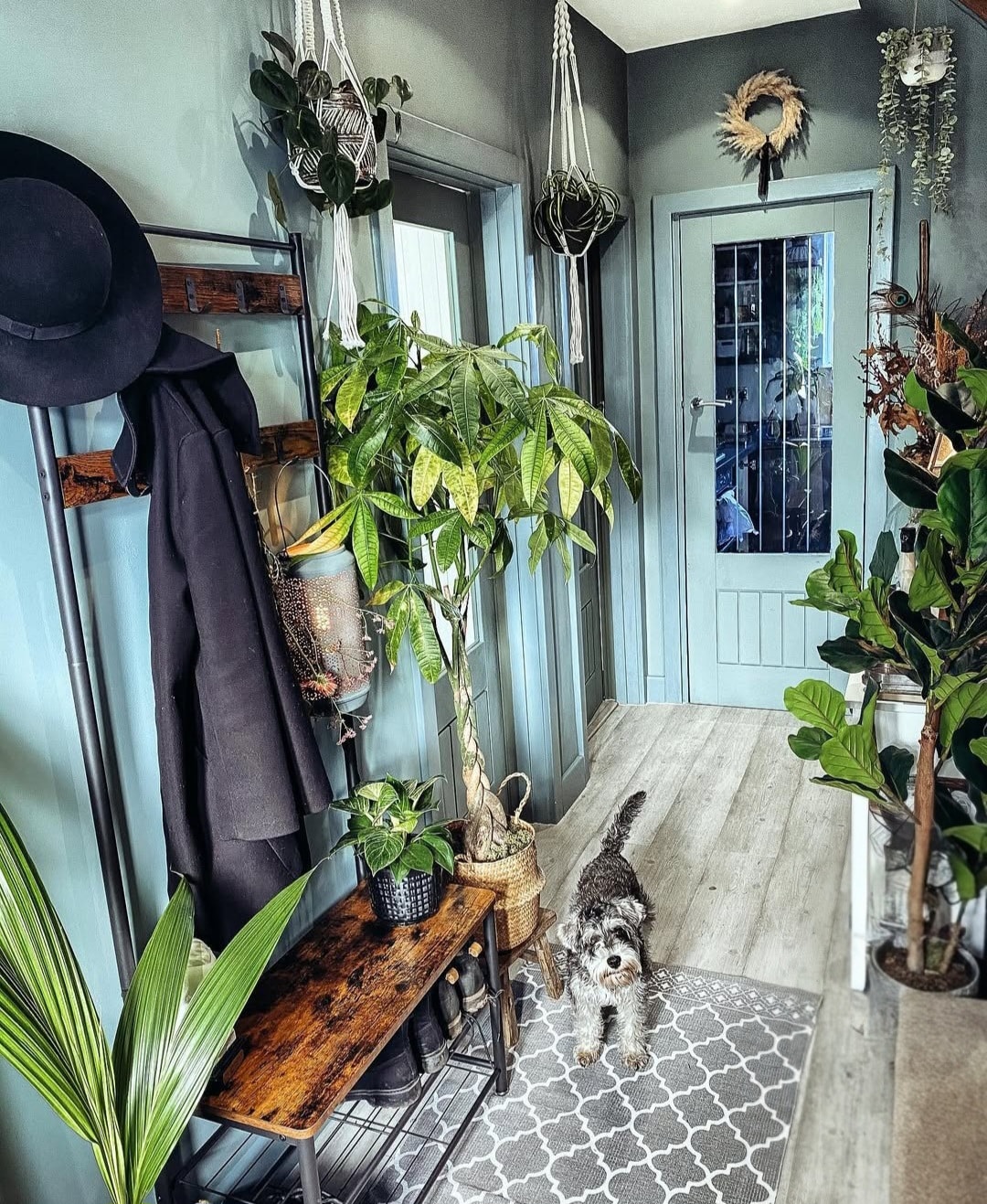 Blue hallway ideas 4