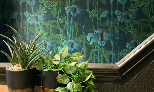 dark green hallway