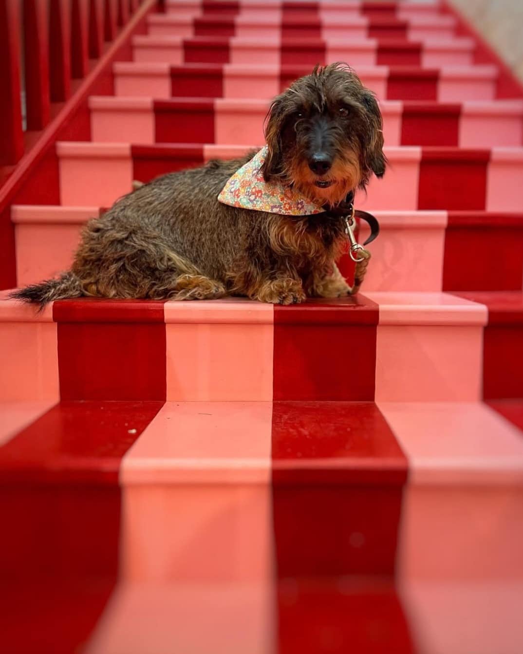 Painted stairs ideas 4