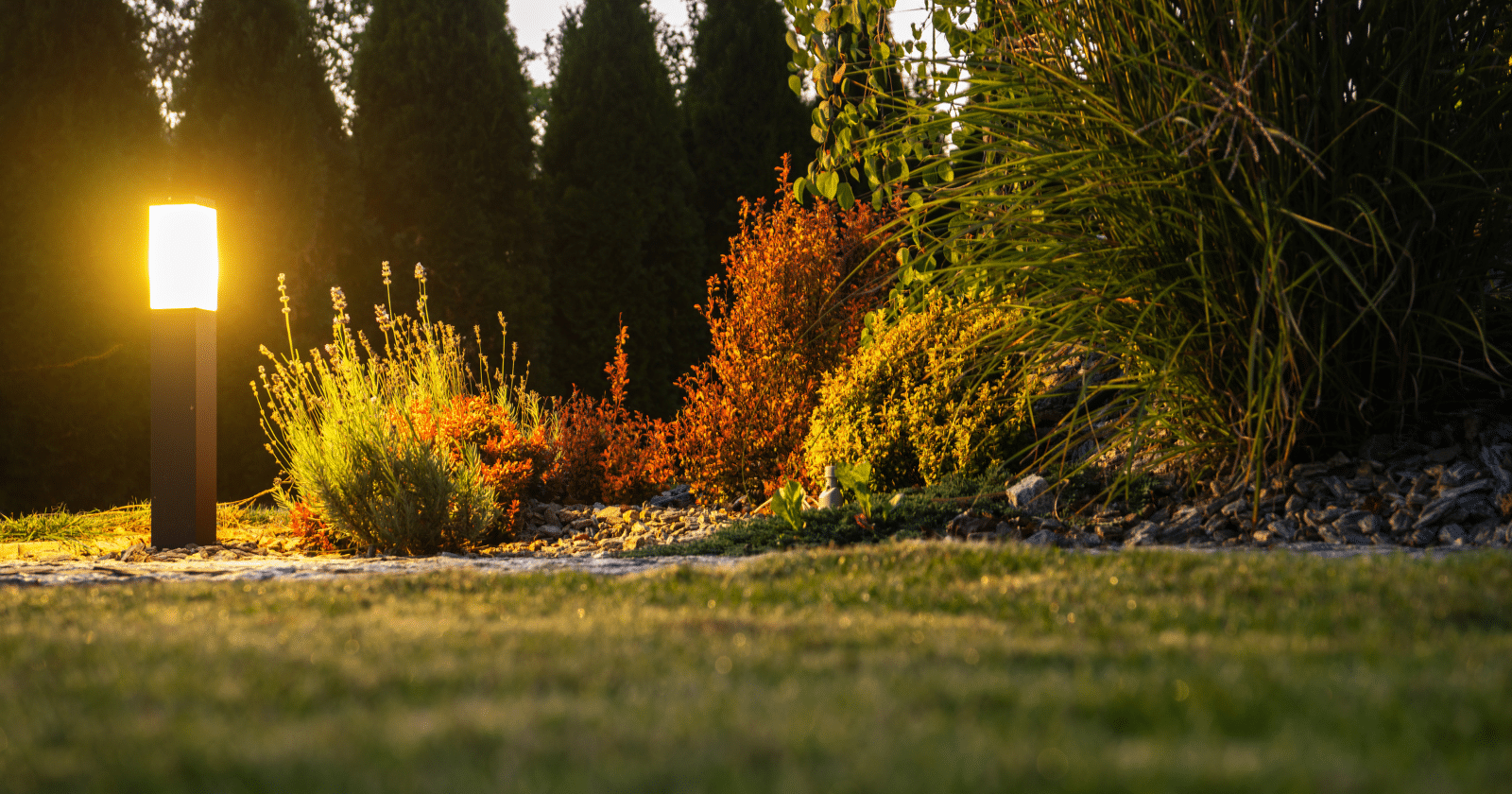 low light lawn