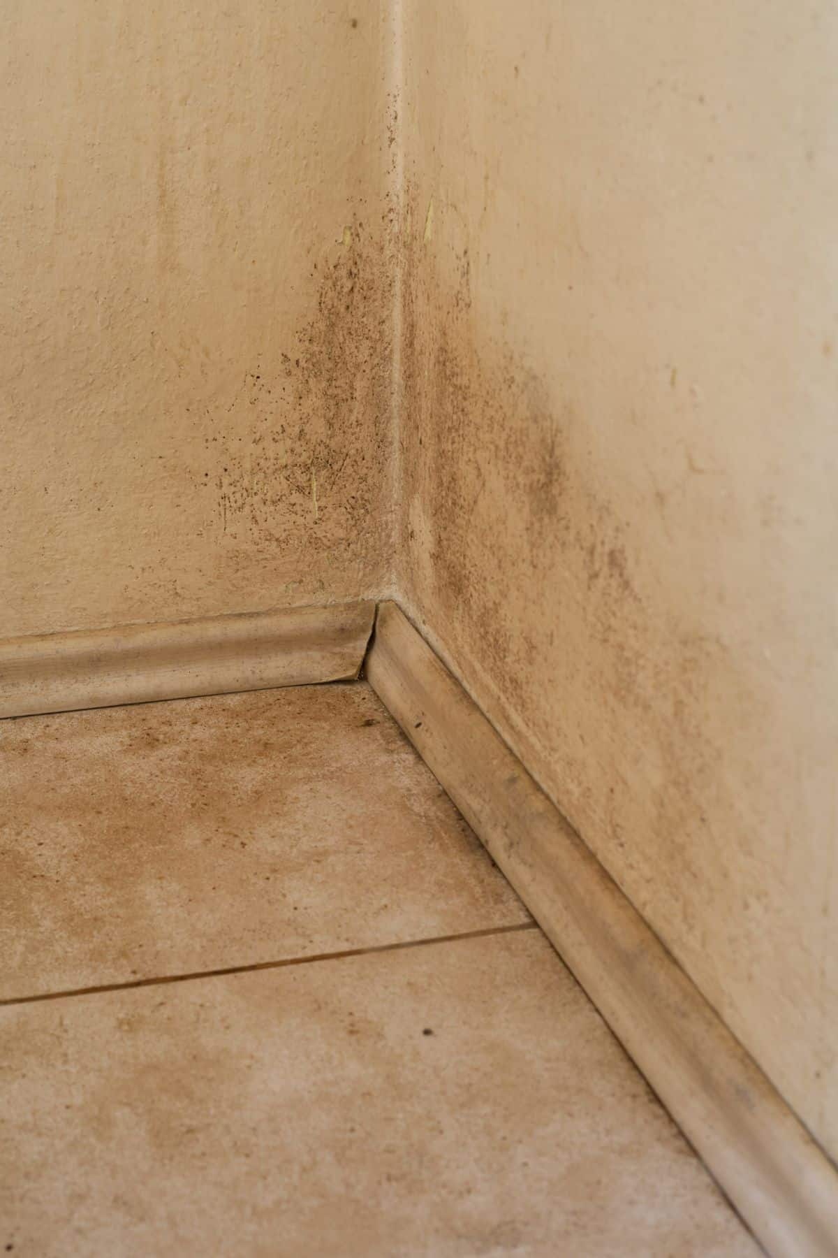landlord tips 3