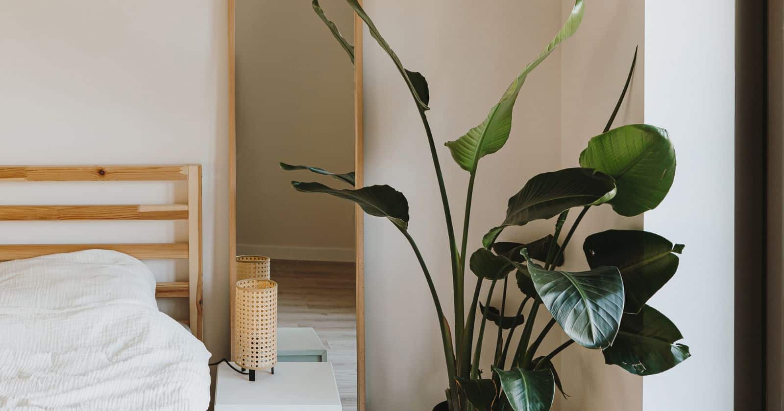 neutral colours 2