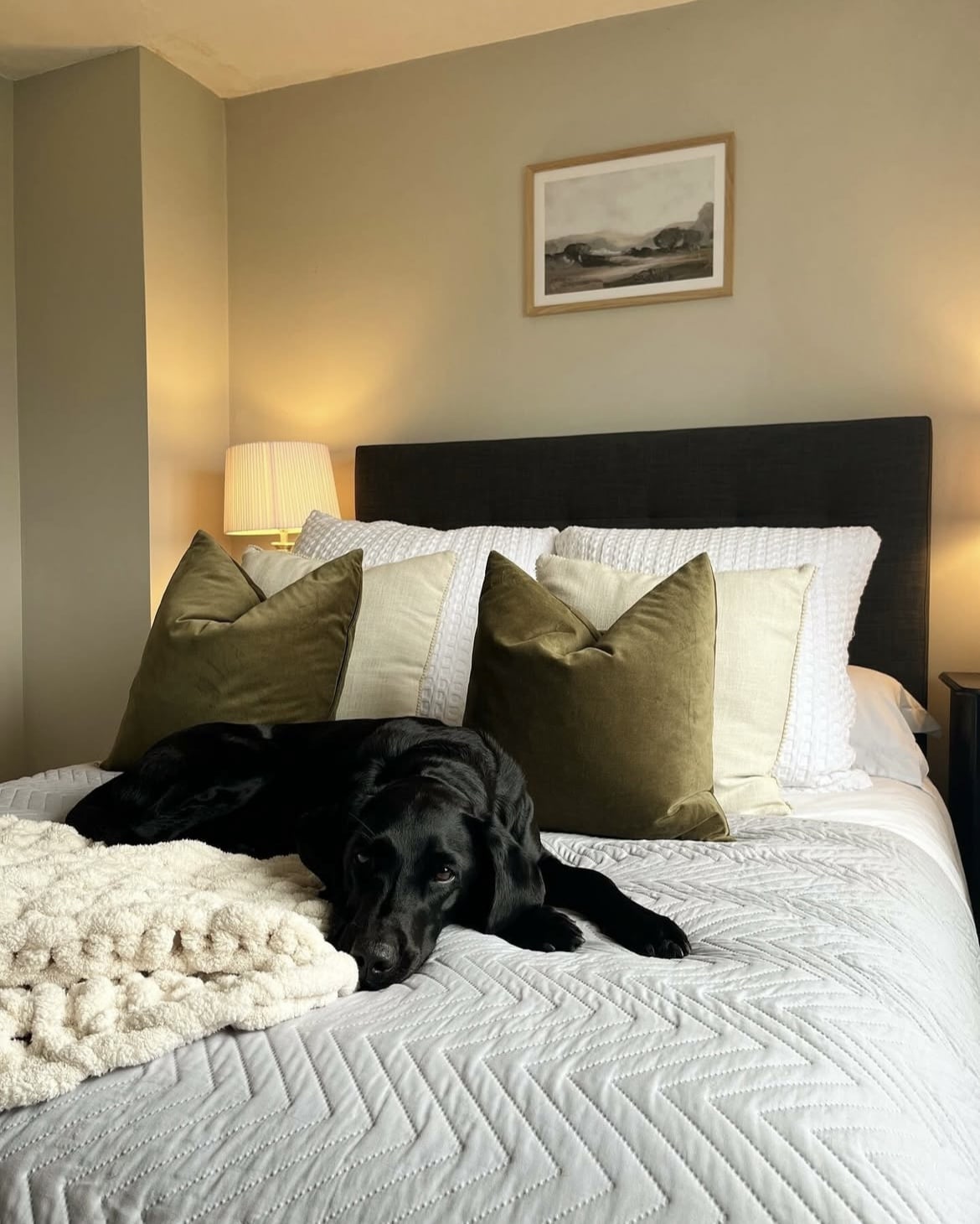 French Gray farrow and ball 11