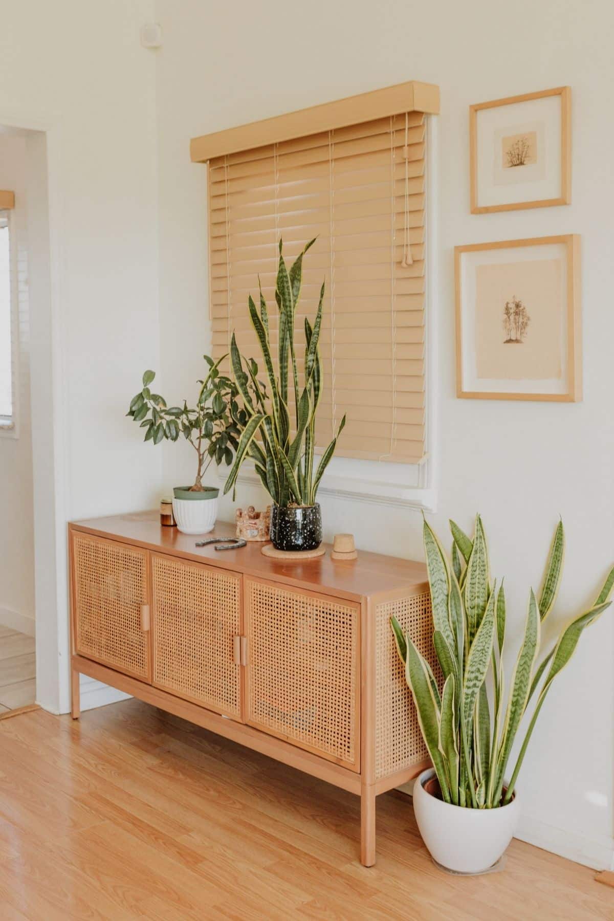 refresh interiors 3