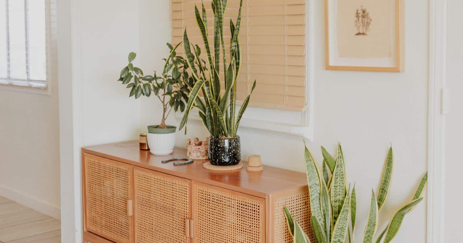 A close-up shot of a wooden console with a cane front, with several potted plants on top.