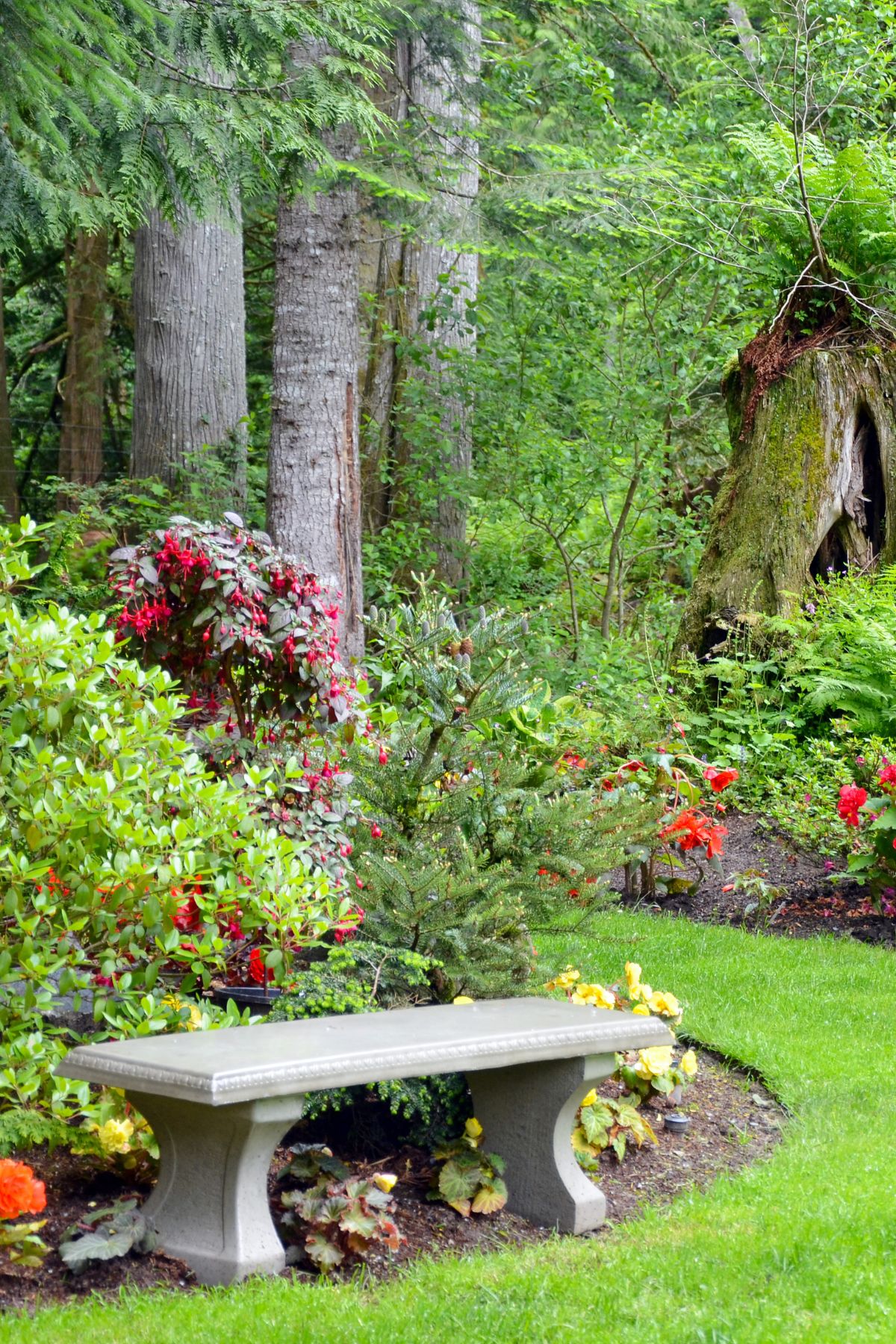 Designing Outdoor Spaces That Stay Organised, Comfortable, and Easy to Maintain 4 outdoor garden space 5