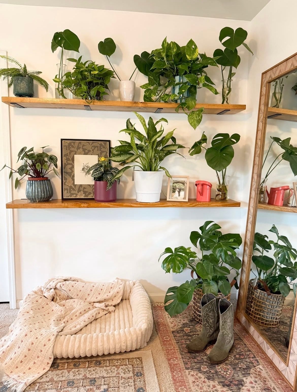indoor plant wall ideas 1