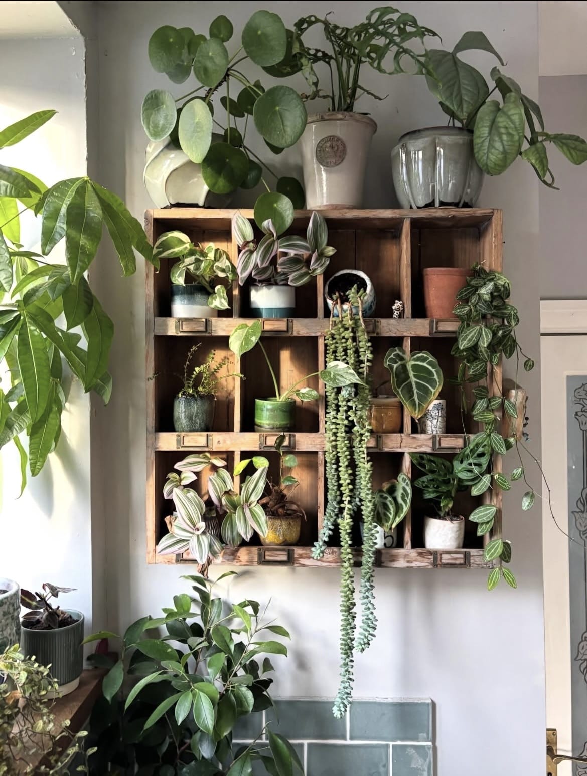 indoor plant wall ideas 10