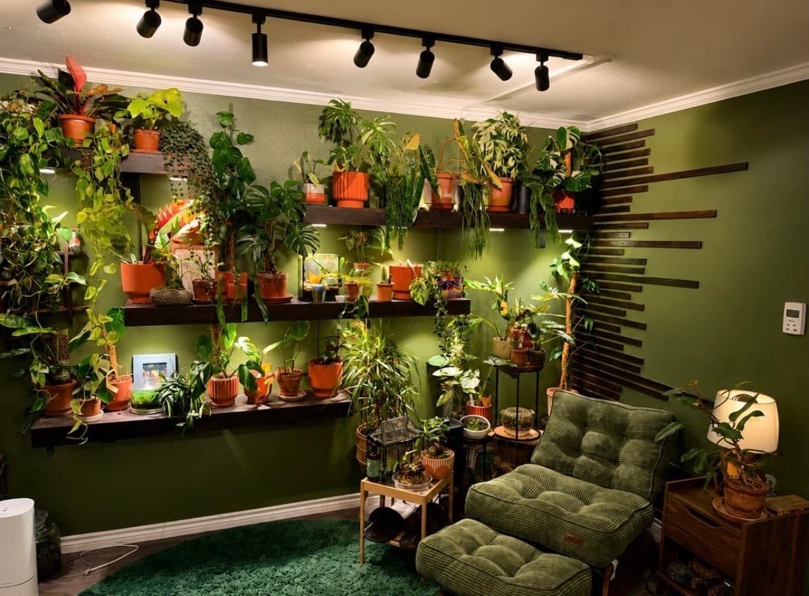 indoor plant wall ideas 11