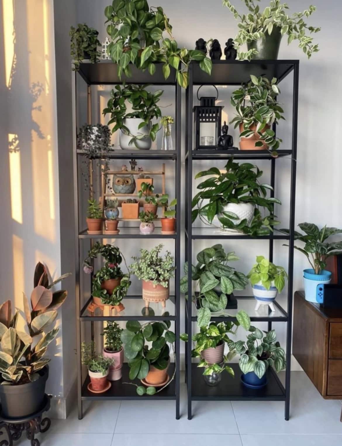 indoor plant wall ideas 14