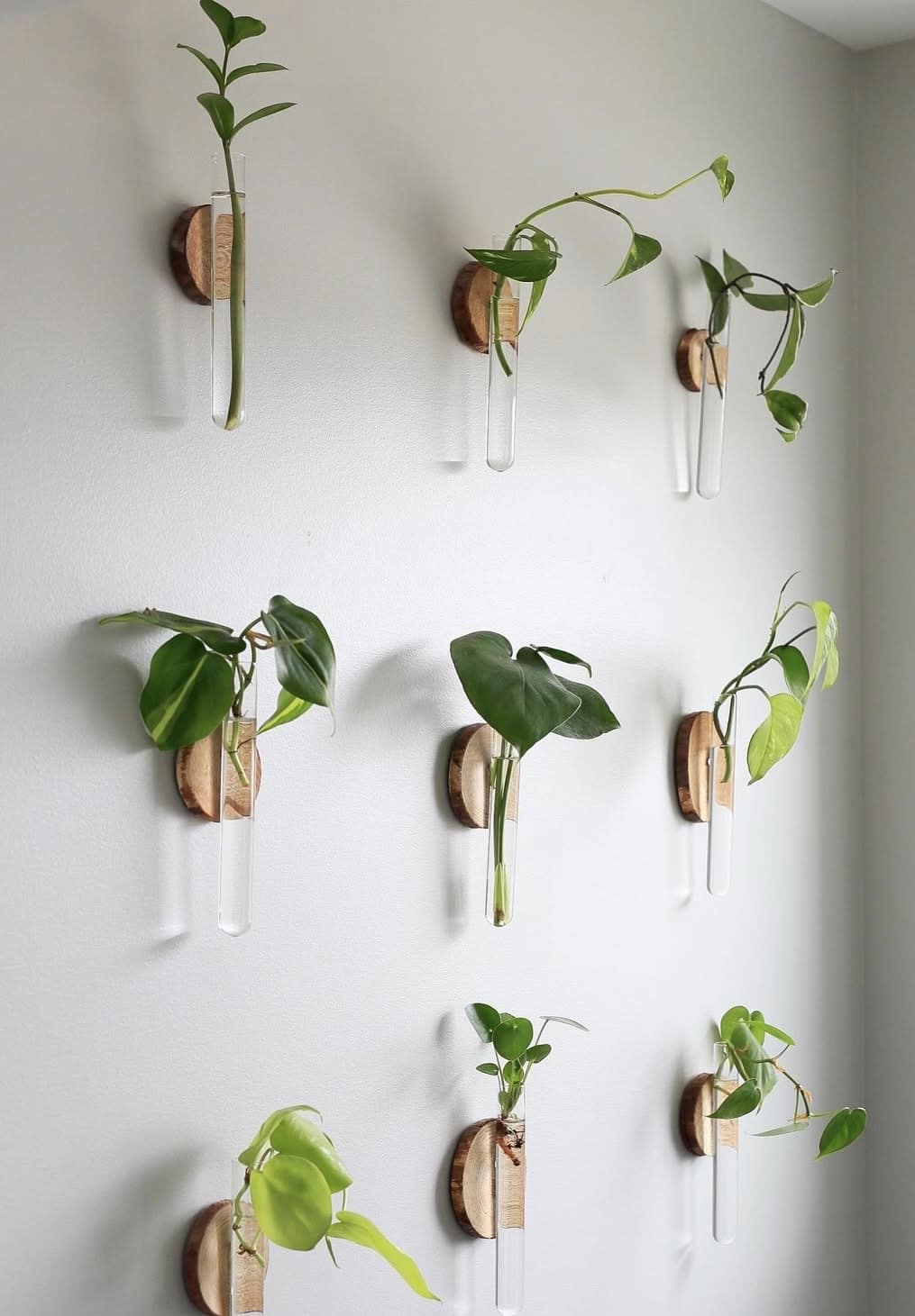 indoor plant wall ideas 15