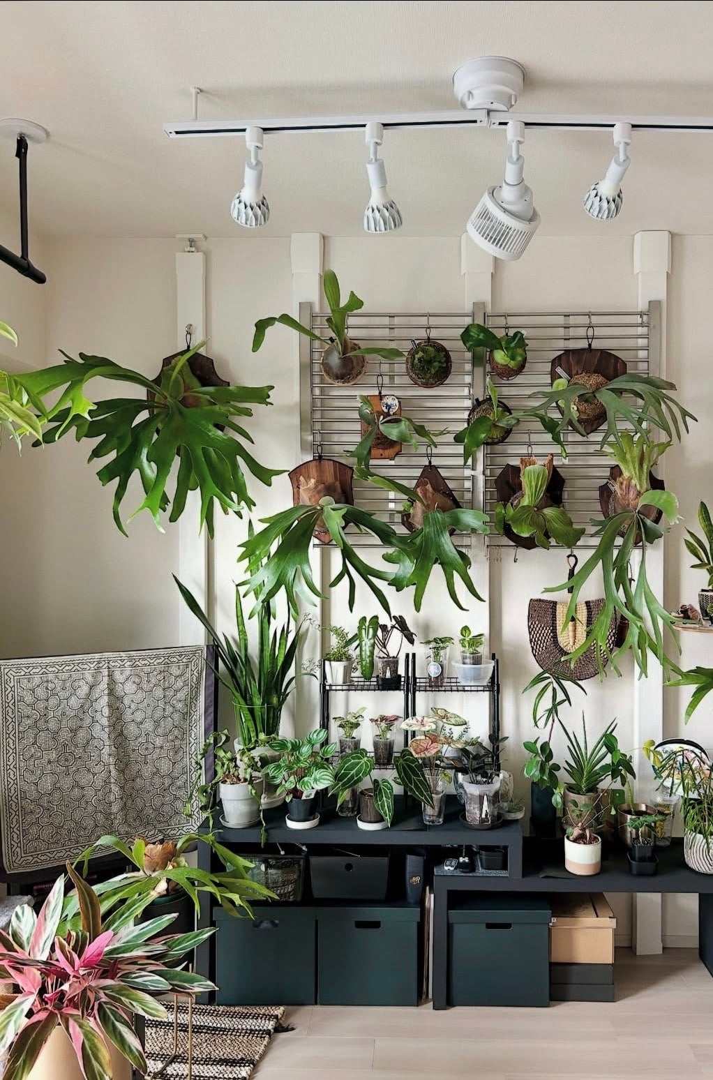 indoor plant wall ideas 16