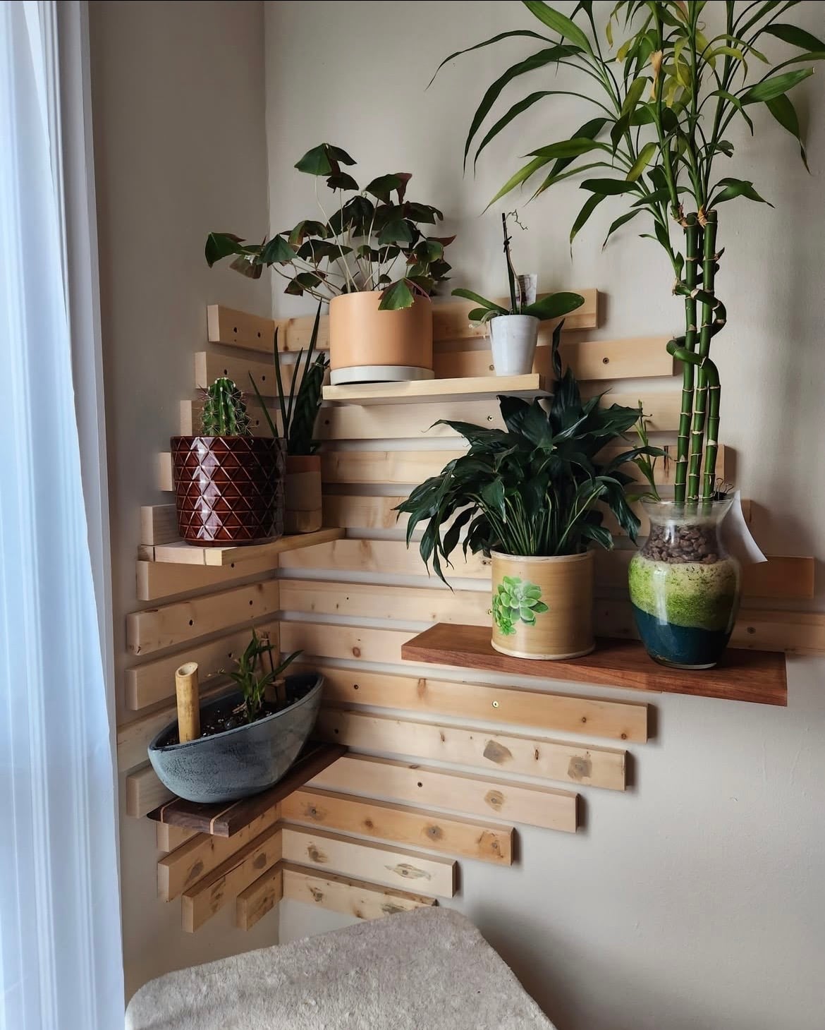 indoor plant wall ideas 18