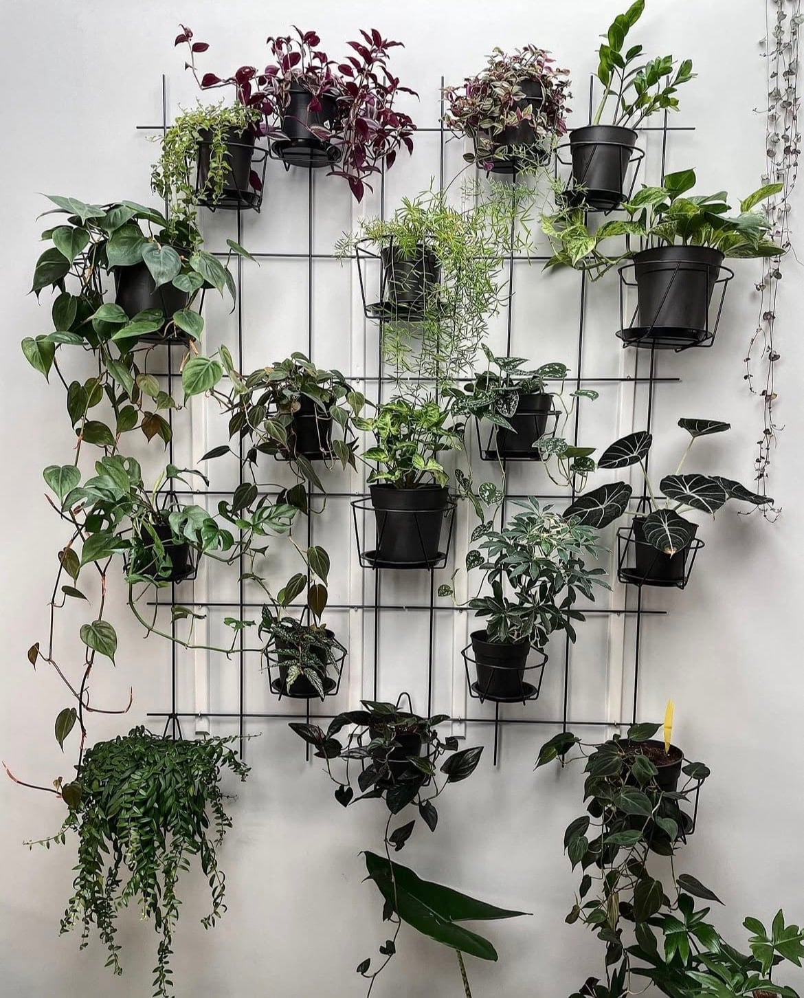 indoor plant wall ideas 19
