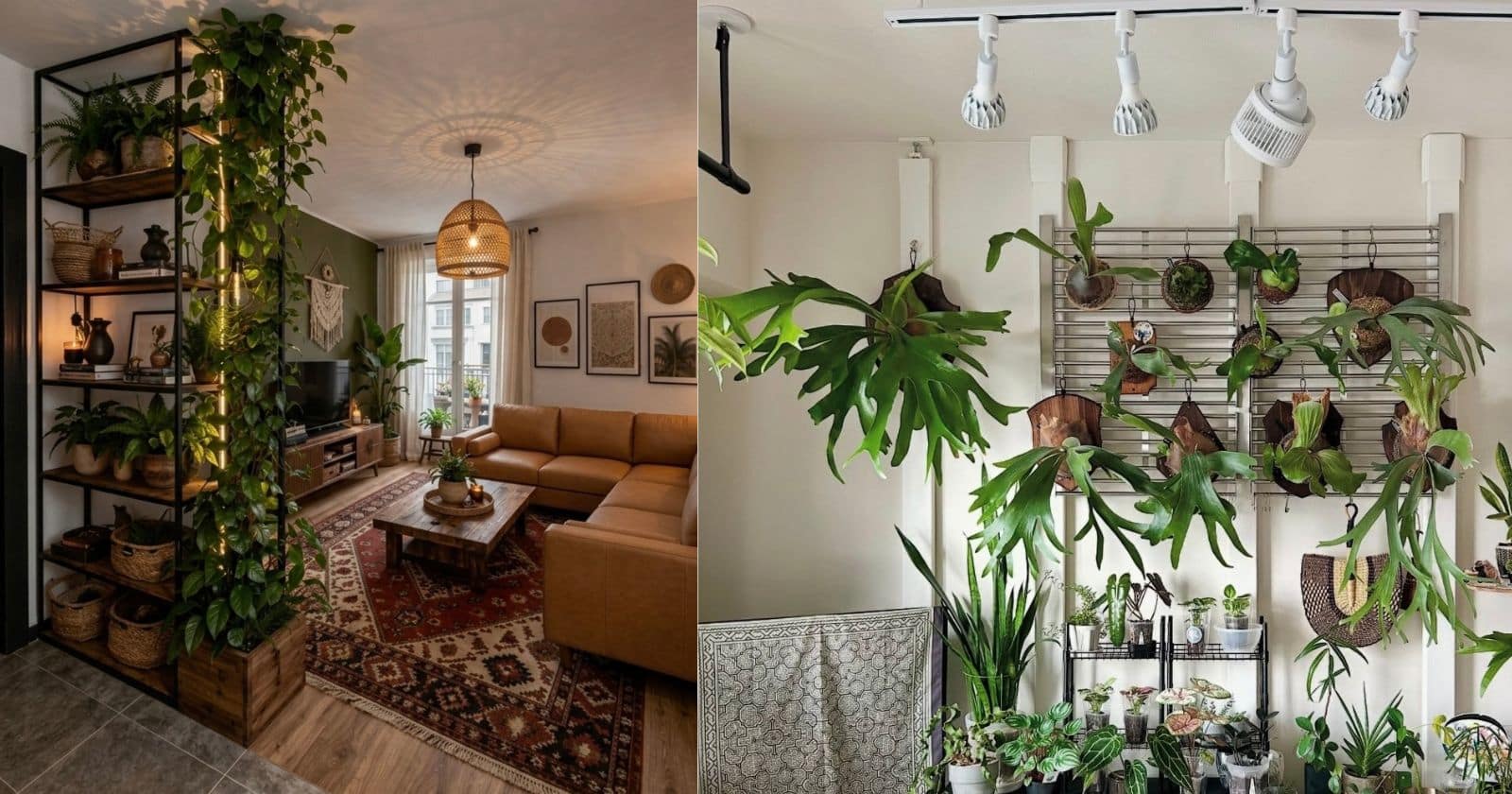 indoor plant wall ideas 2 1