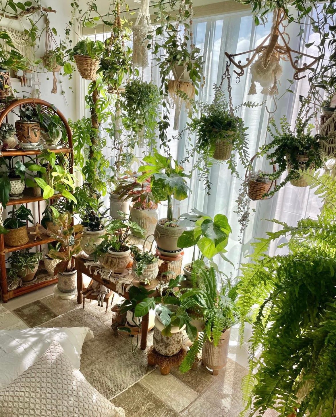 indoor plant wall ideas 2