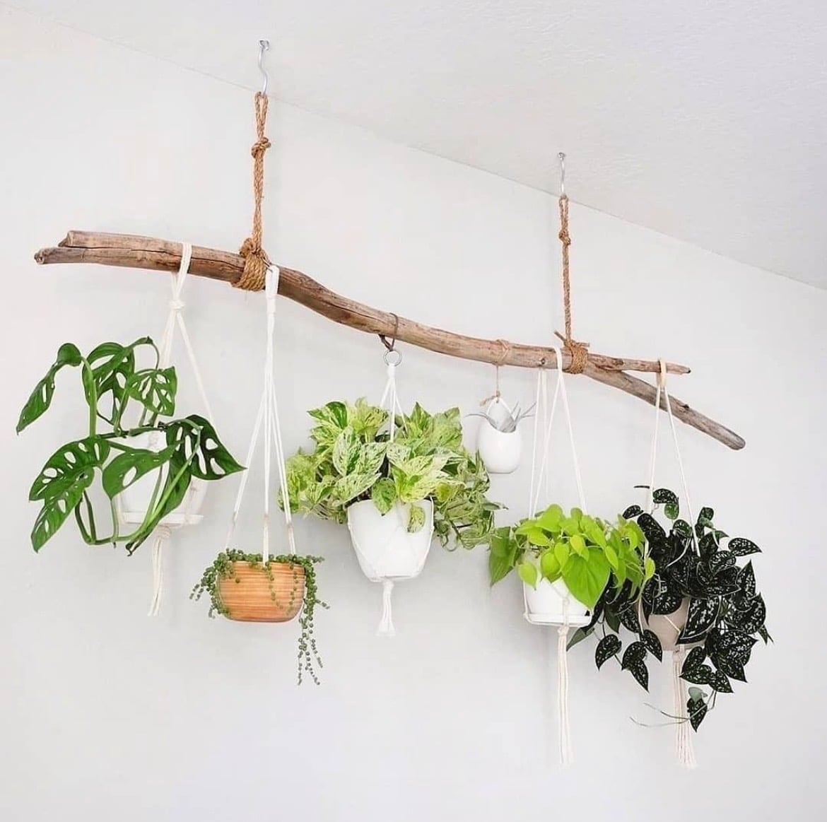 indoor plant wall ideas 20