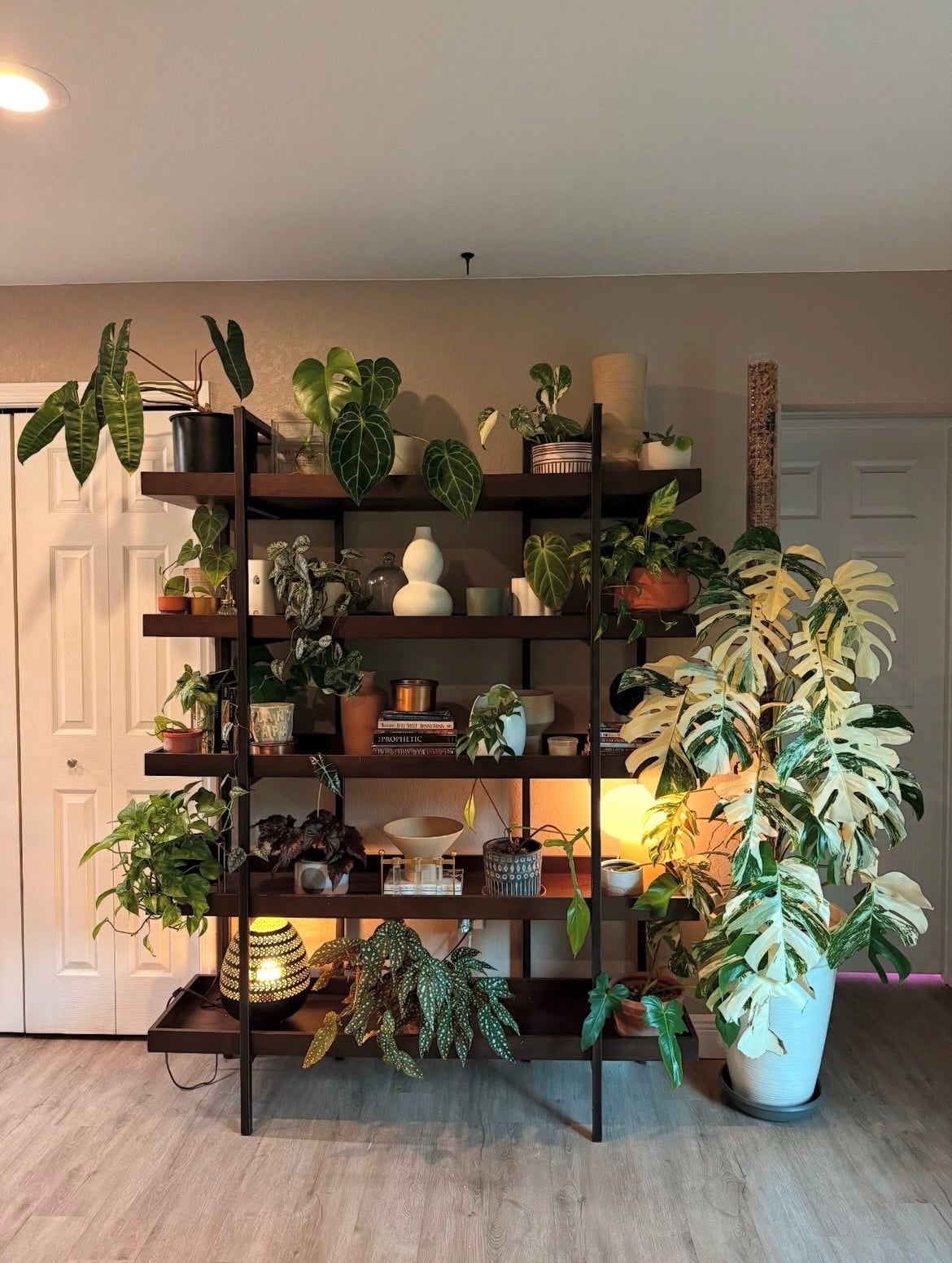 indoor plant wall ideas 3
