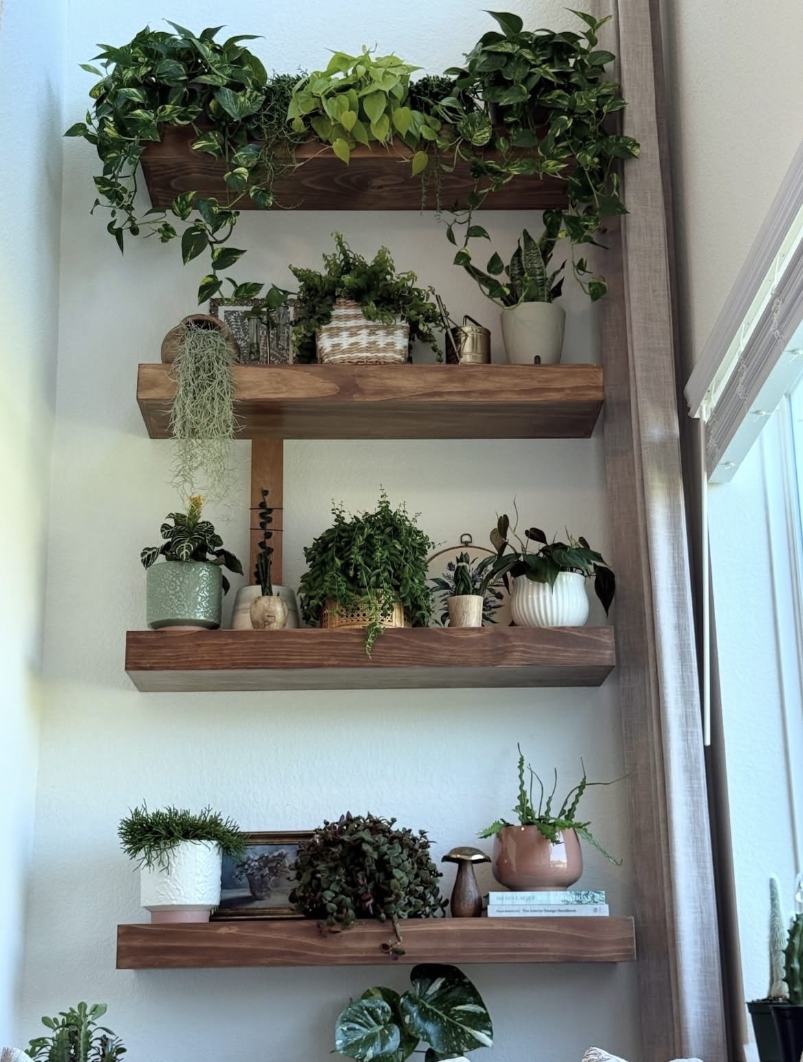 indoor plant wall ideas 4