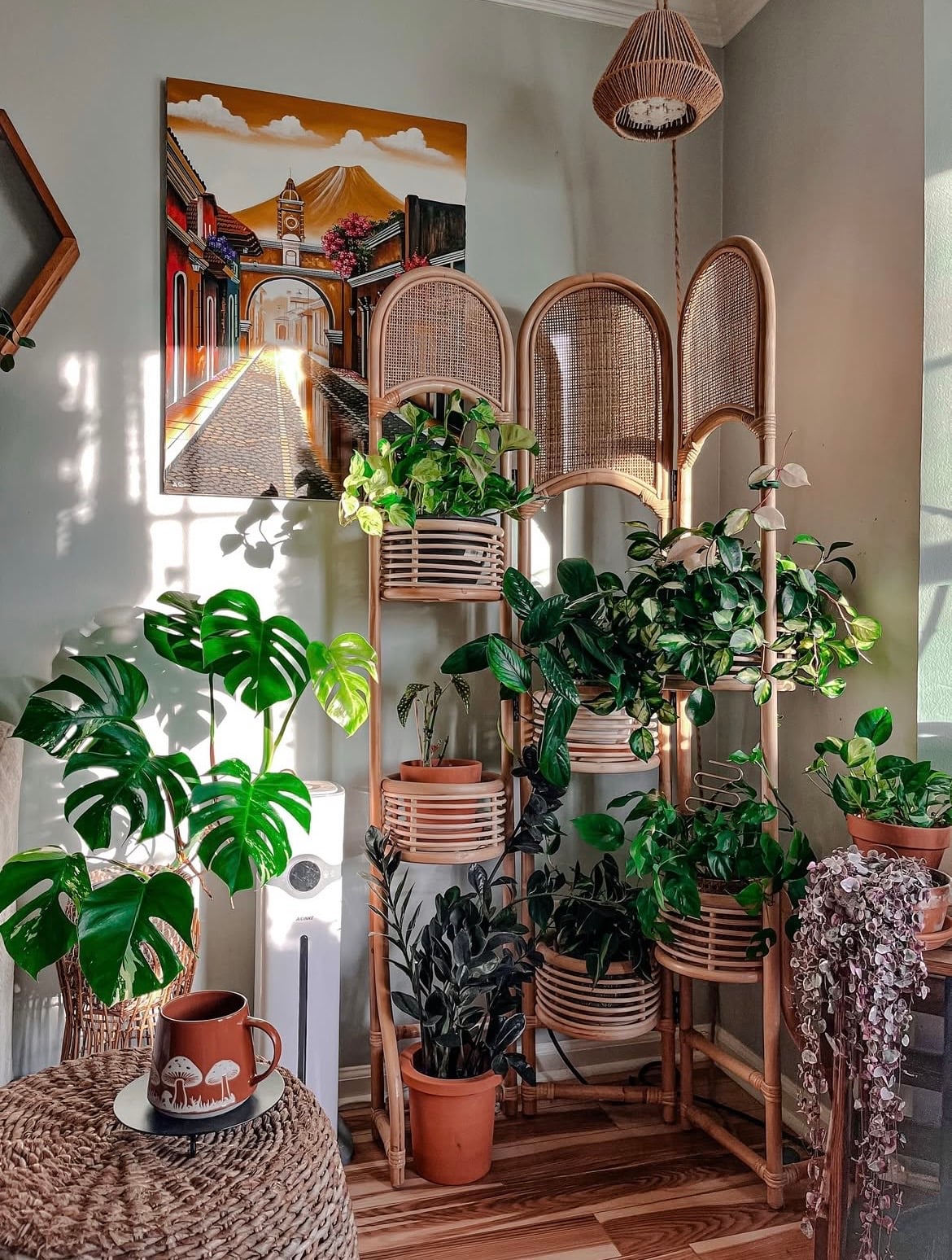 indoor plant wall ideas 5