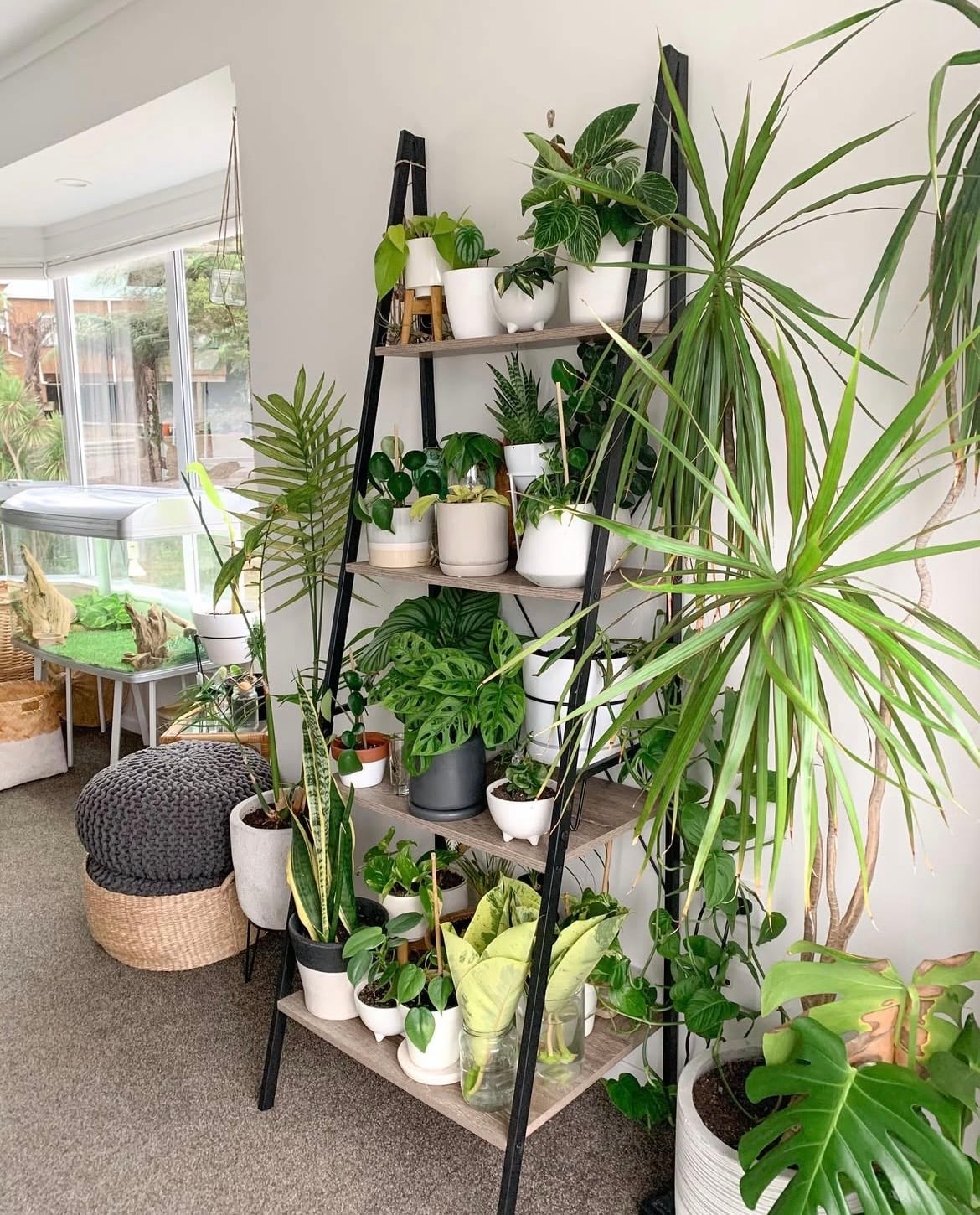 indoor plant wall ideas 6