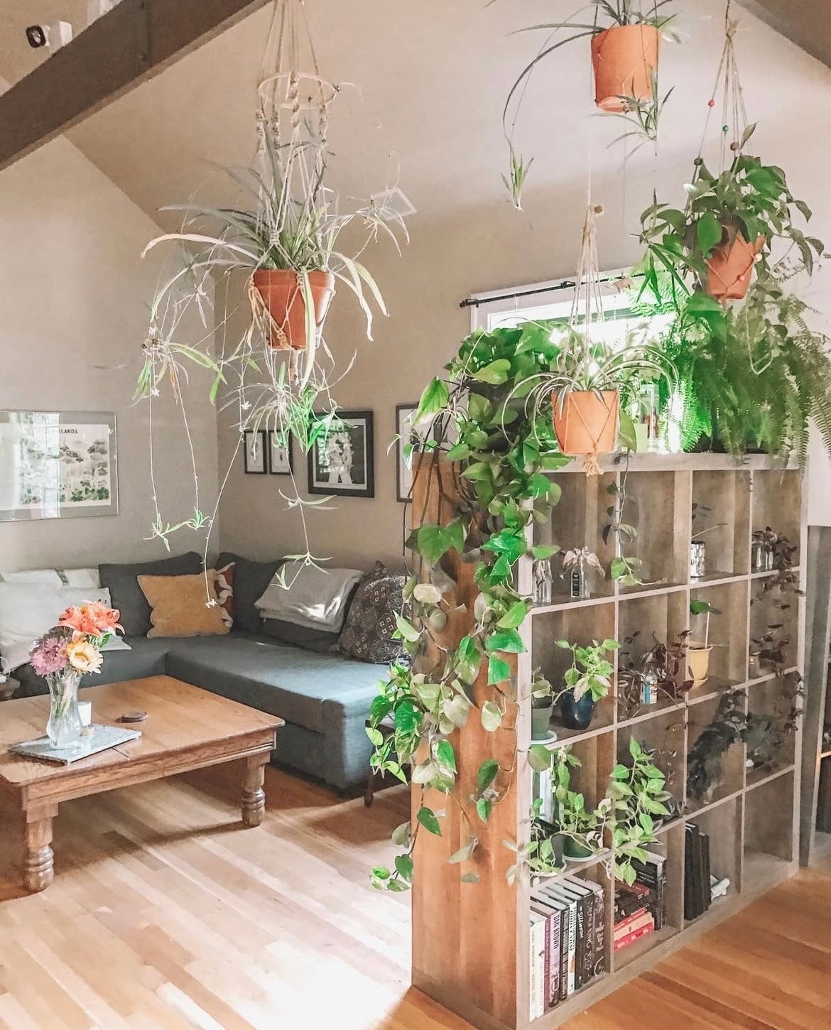 indoor plant wall ideas 9